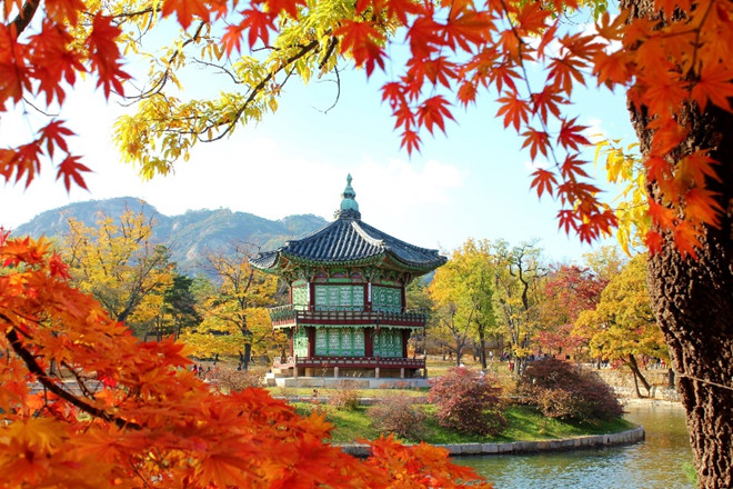 Tour Hàn Quốc 5N4Đ mùa thu: Seoul - Nami - Everland - Hái táo bay 7C